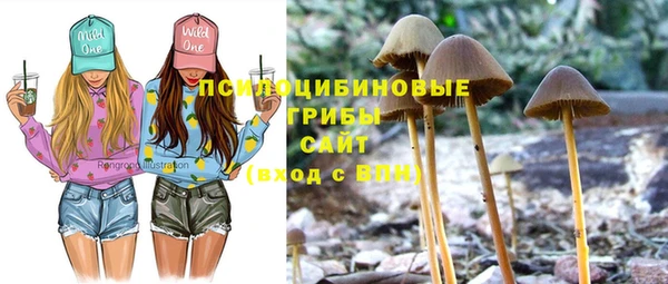 кристаллы Белоозёрский