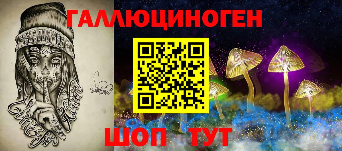 Буйнакск  купить наркоту  Вход с VPN  Галлюциногенные грибы Psilocybe 