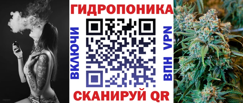 закладки  Буйнакск  Шишки марихуана сатива 